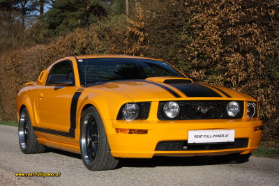 Ford Mustang GT BOSS Gallery