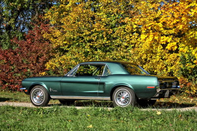 ford mustang bj 68 oldtimer als brautauto