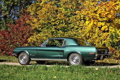 ford mustang bj 68 oldtimer als brautauto