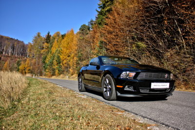 ford_mustang_cabrio_14_rent_full_power