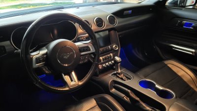 Mustang 2015 GT 5.0 Cabrio Innenraum