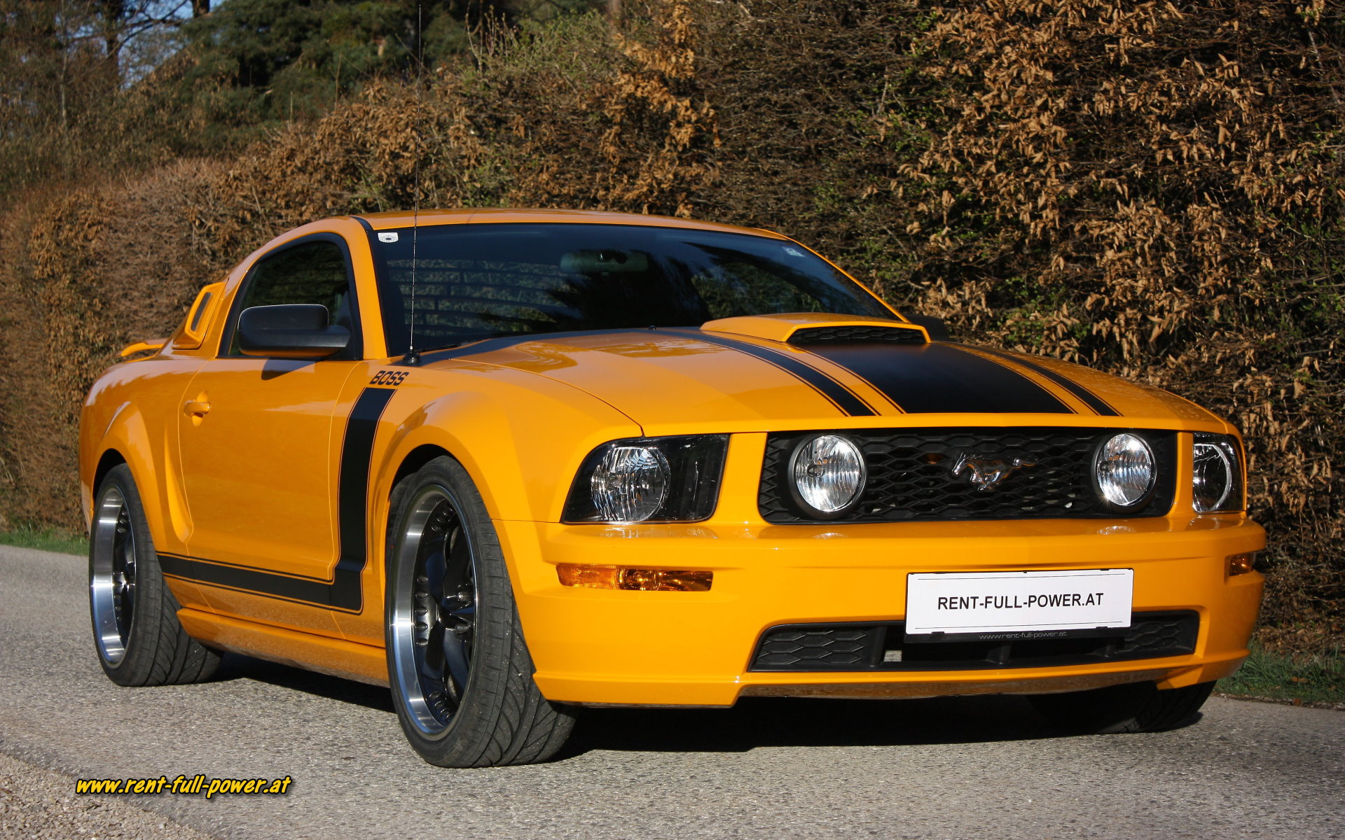 Ford Mustang GT US cars gallery