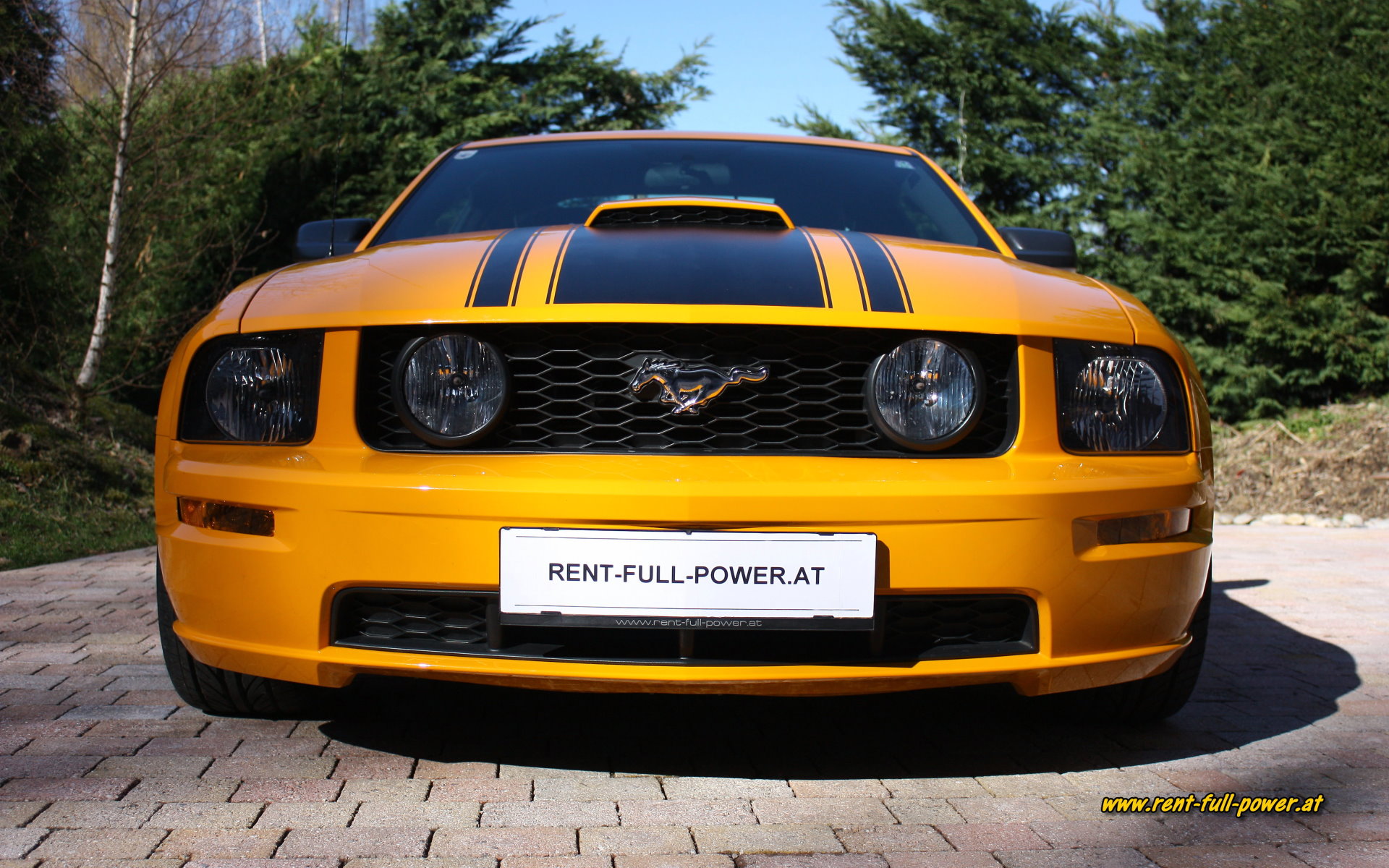 Ford Mustang GT US cars