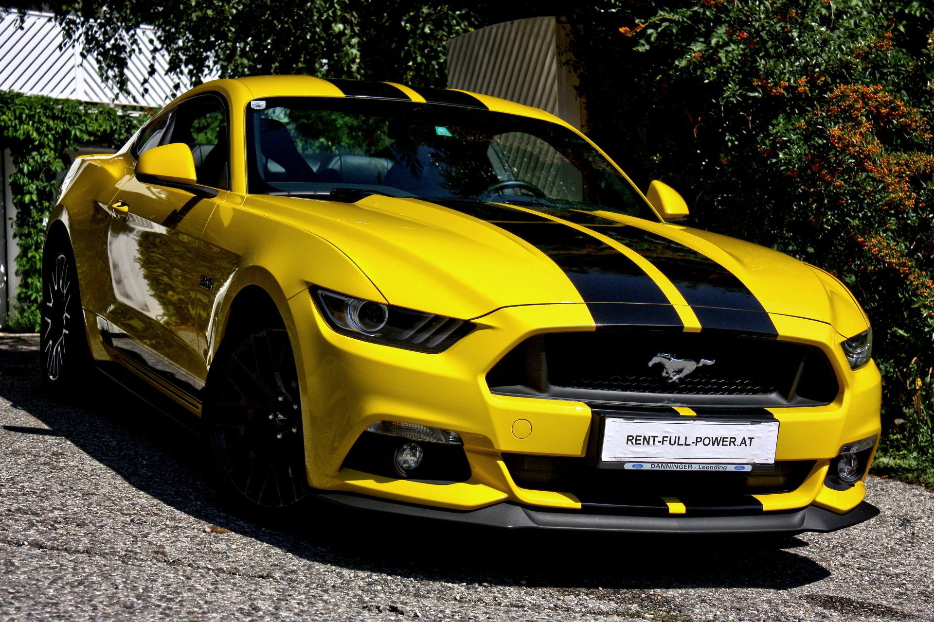 Ford Mustang GT 5.0 Generation 6 Baujahr 2015