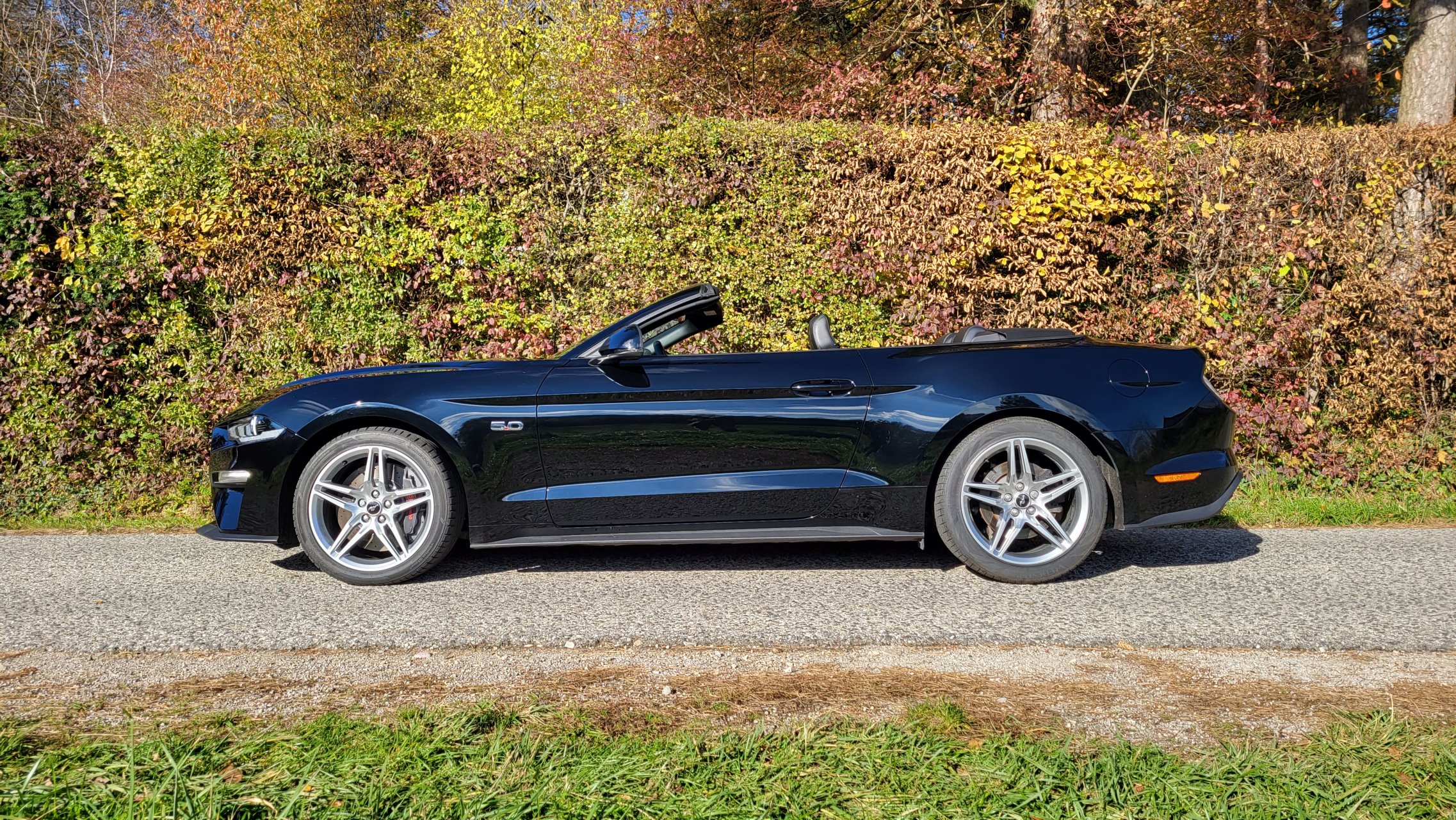 Ford Mustang GT 5.0 Cabrio als perfektes Geschenk