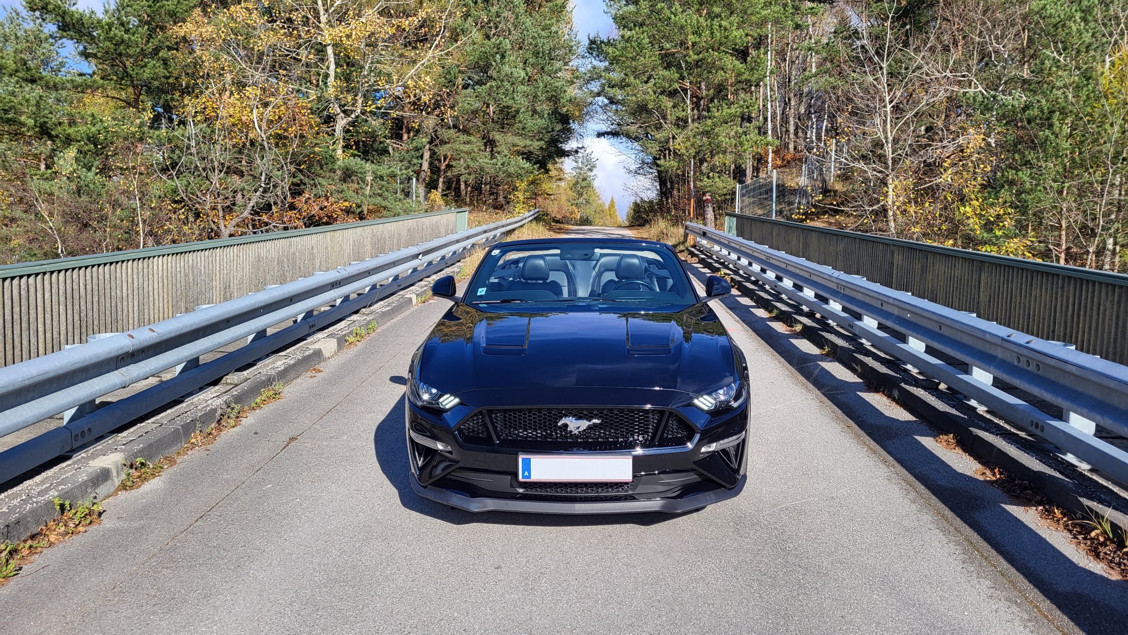 Ford Mustang GT 5.0 Cabrio in der Nähe von Wien mieten