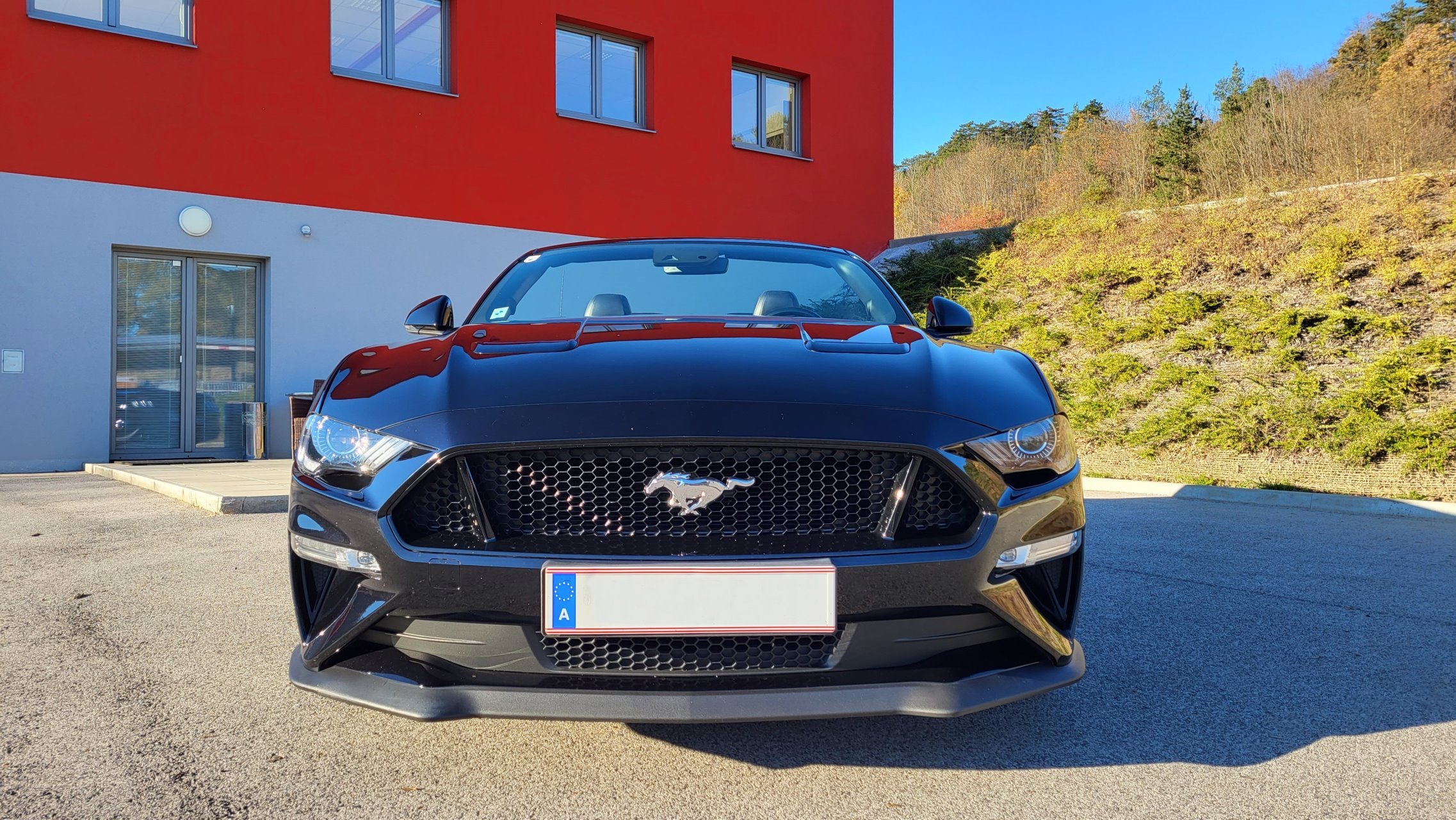 Ford Mustang GT 5.0 Cabrio für Probefahrt ausborgen