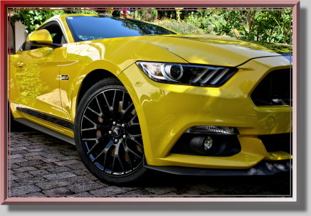 Mustang GT 5.0 als Geburtstagsgeschenk