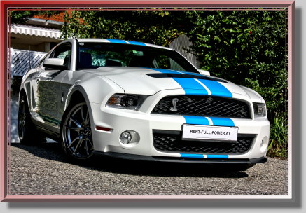 Ford Mustang GT 5.0 Shelby Clone mieten