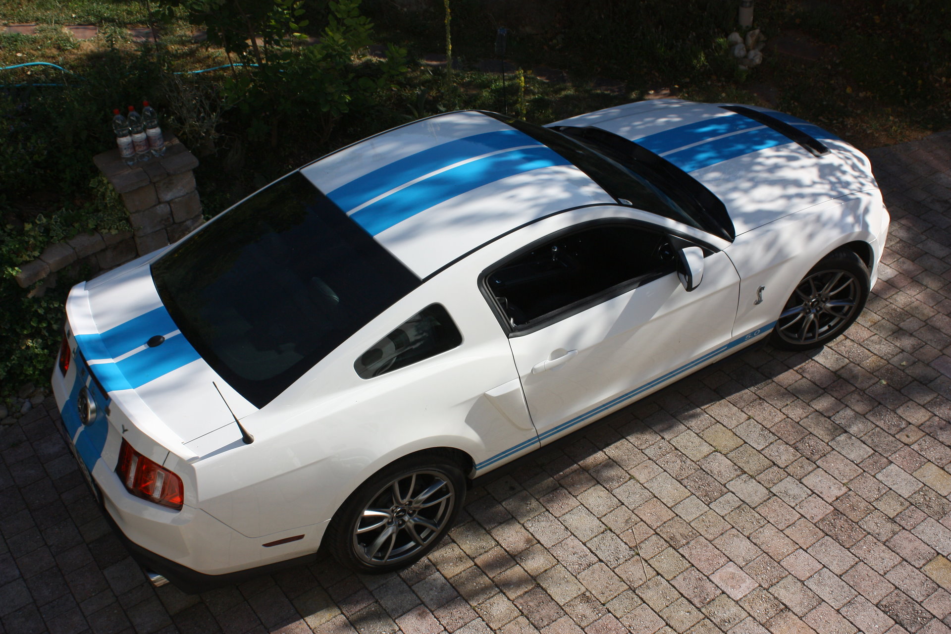 Eine Probefahrt mit einem Ford Mustang GT in Shelby Optik