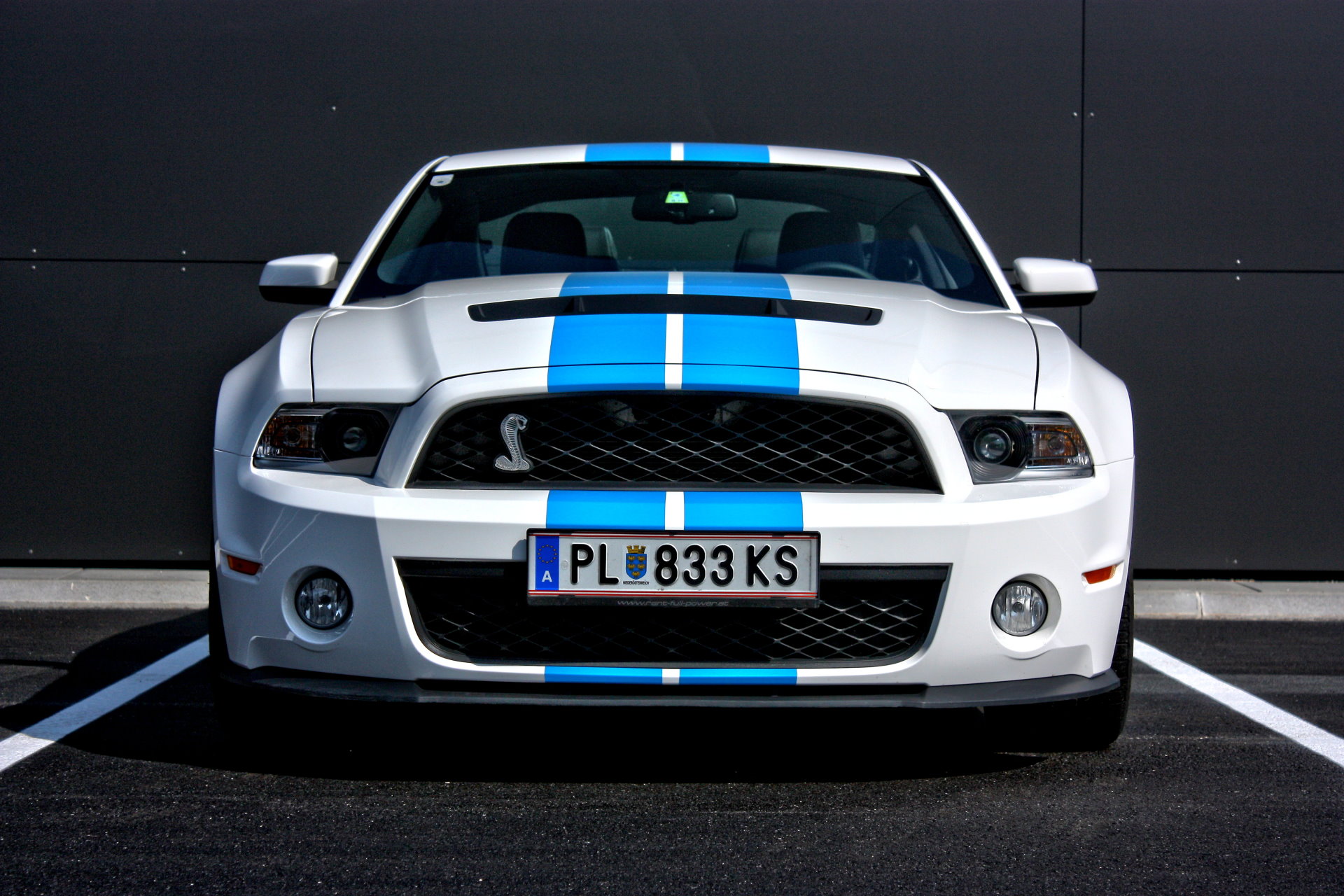 Ford Mustang Shelby in der Nähe von Wien mieten