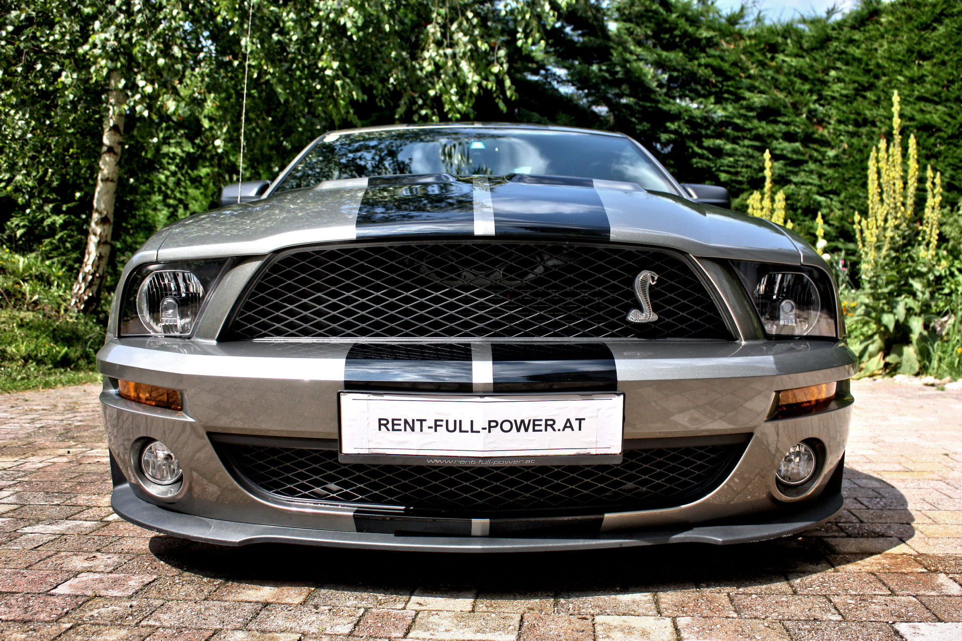 Ford Mustang Shelby GT500 leihen