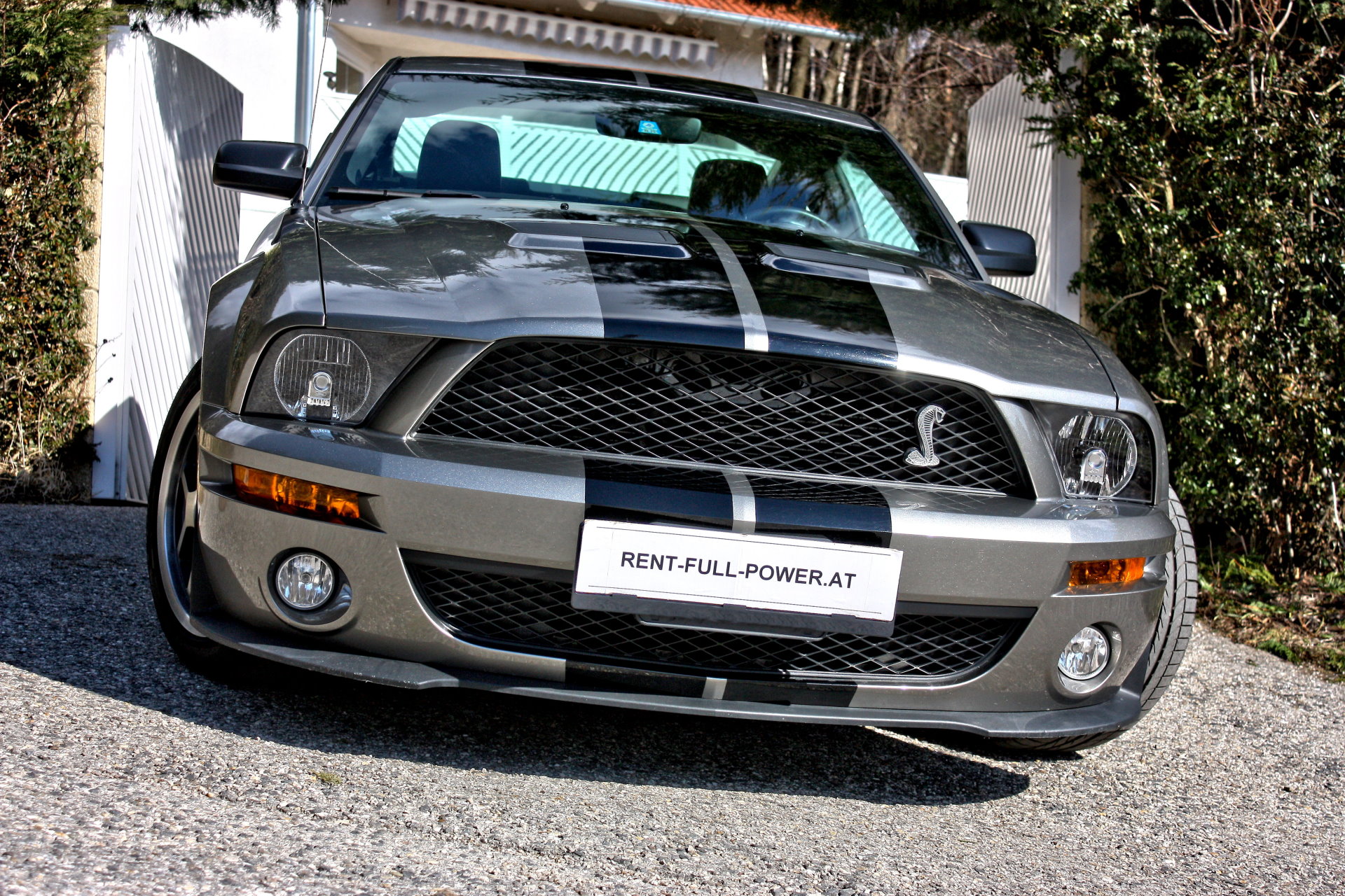 Ford Mustang Shelby GT500 in vapor silber mieten